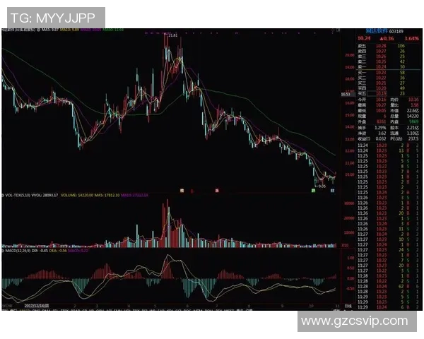 北京篮球队在杯赛中的力量展现与战术分析深度点评