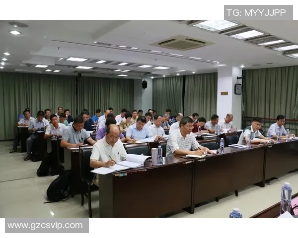 北京飞盘队边路渗透战术创新与团队协作的深度解析