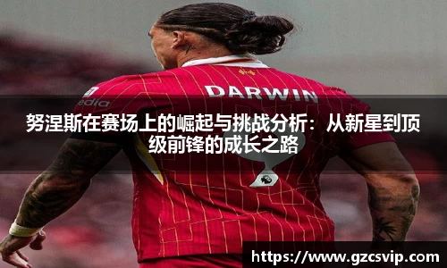 努涅斯在赛场上的崛起与挑战分析：从新星到顶级前锋的成长之路